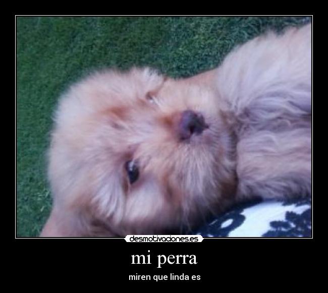 carteles fabrizio pereyra desmotivaciones