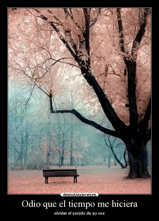 Odio que el tiempo me hiciera - olvidar el sonido de su voz.