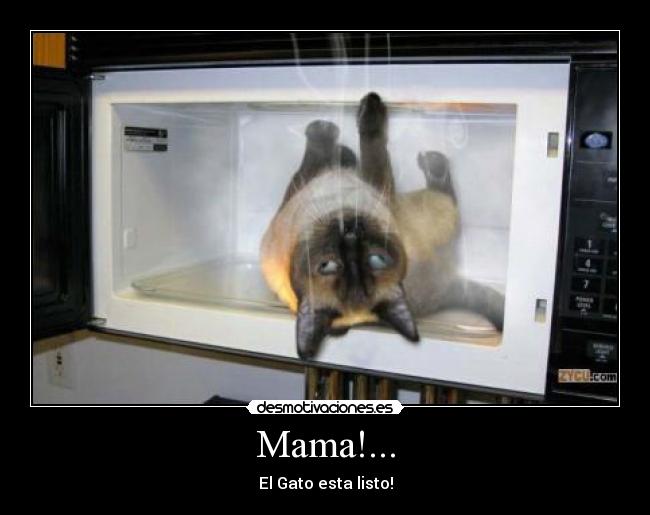 Mama!... - El Gato esta listo!