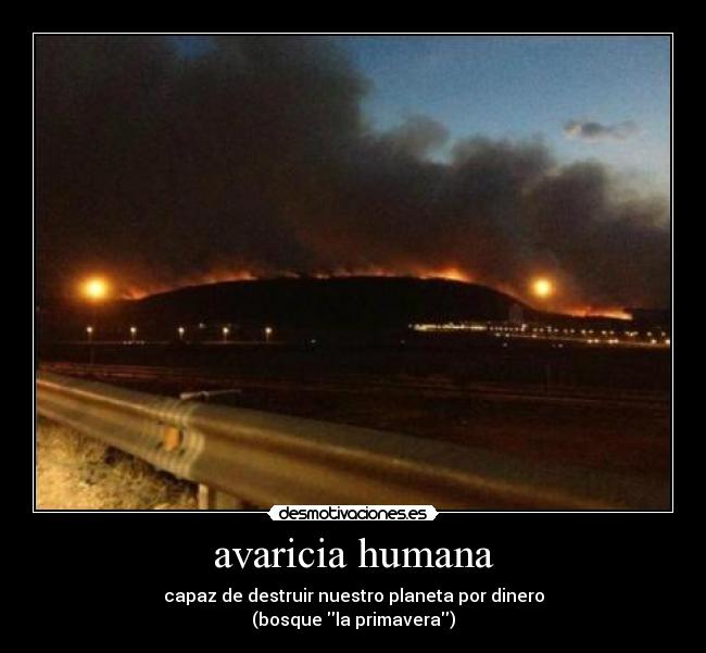 avaricia humana - capaz de destruir nuestro planeta por dinero
(bosque la primavera)