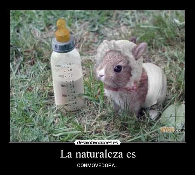 La naturaleza es - CONMOVEDORA...