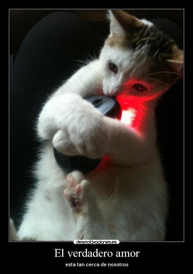 El verdadero amor -