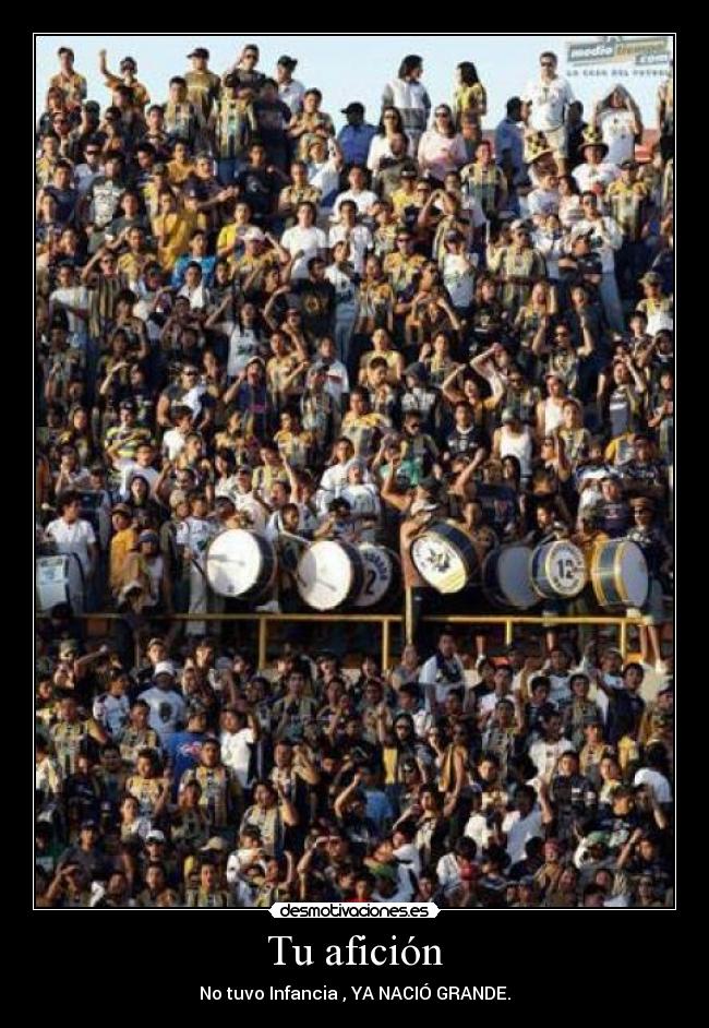 carteles ana desmotivaciones