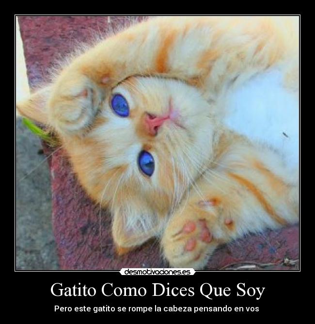 carteles sheshe galvan desmotivaciones