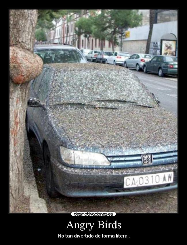 Angry Birds - No tan divertido de forma literal.