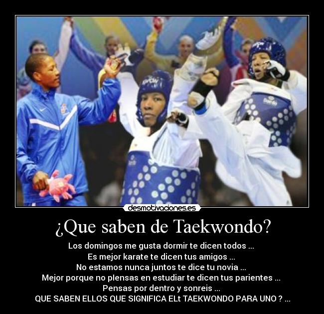 ¿Que saben de Taekwondo? -