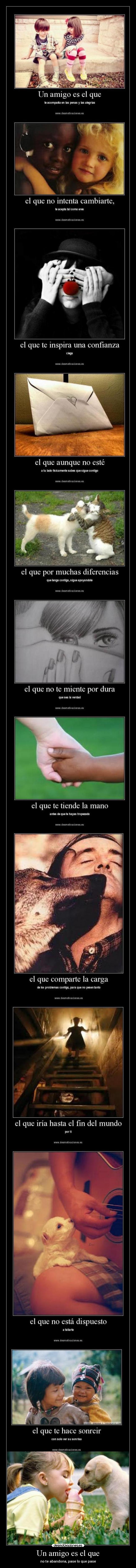 Un amigo es el que - 