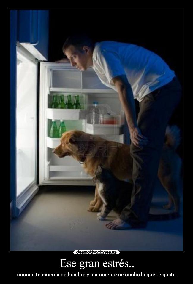 Ese gran estrés.. - 