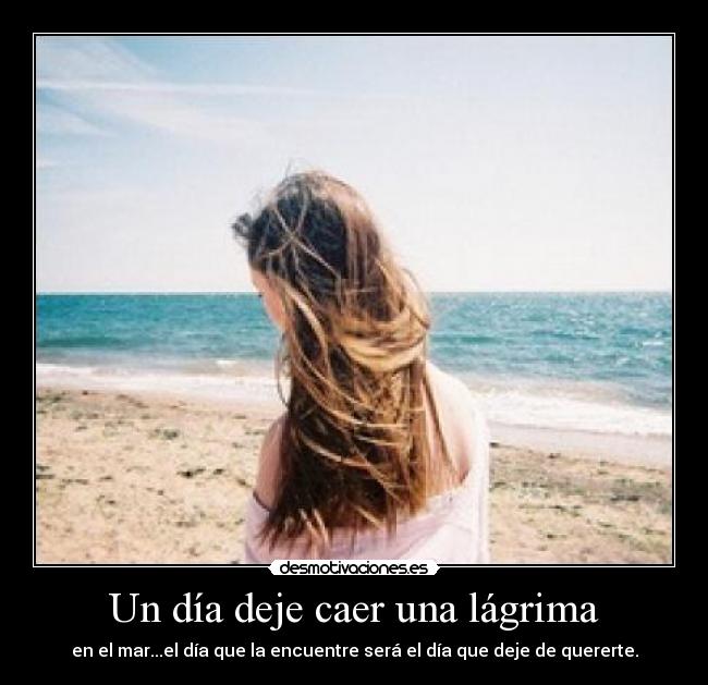 carteles frasee faceeebus desmotivaciones