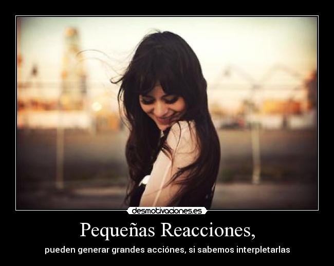 Pequeñas Reacciones, - 