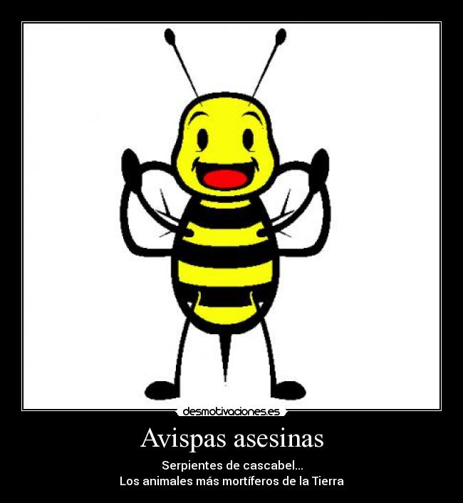 Avispas asesinas - Serpientes de cascabel...
Los animales más mortíferos de la Tierra