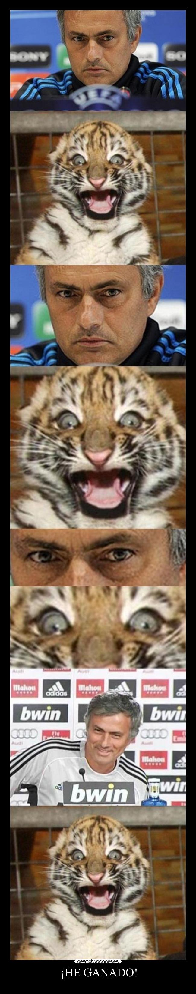 carteles tigretoneh clantigretoneh desollao desmotivaciones