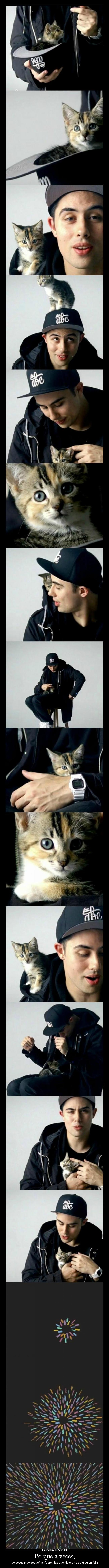 carteles gatito david dallas desmotivaciones