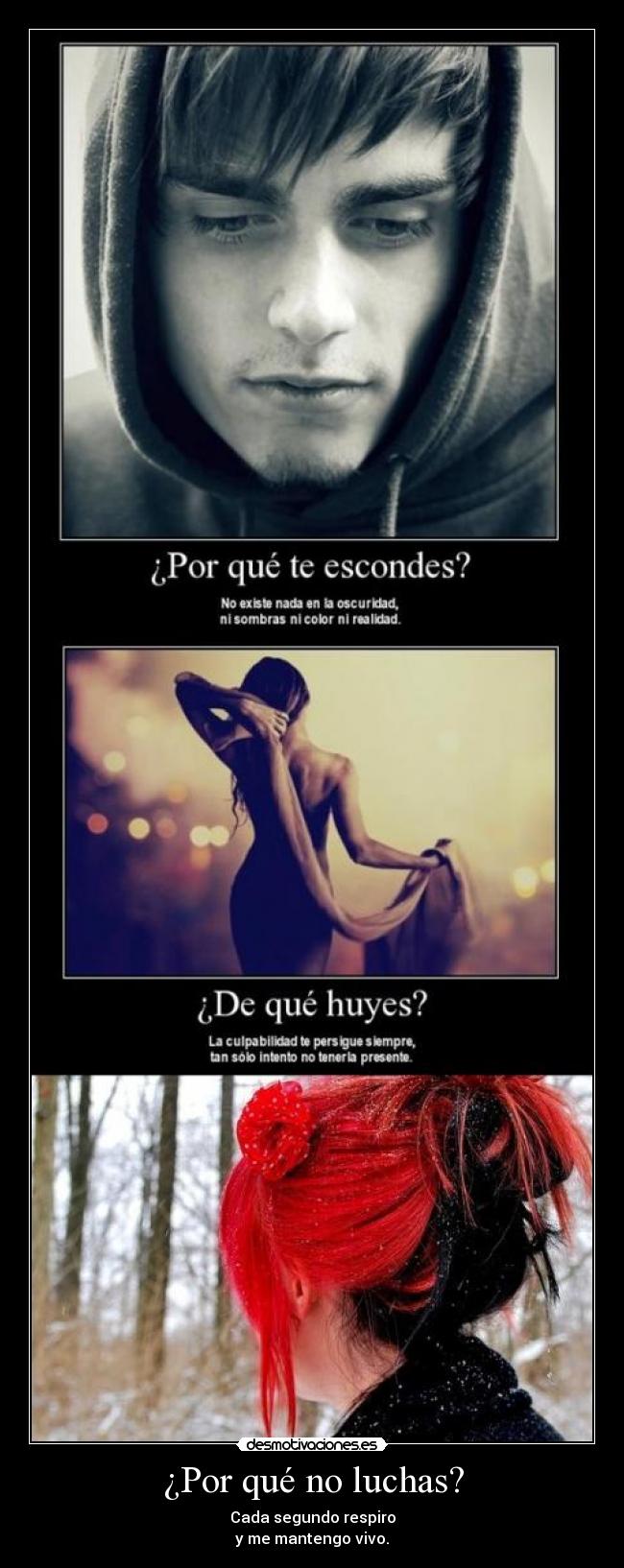 ¿Por qué no luchas? - 