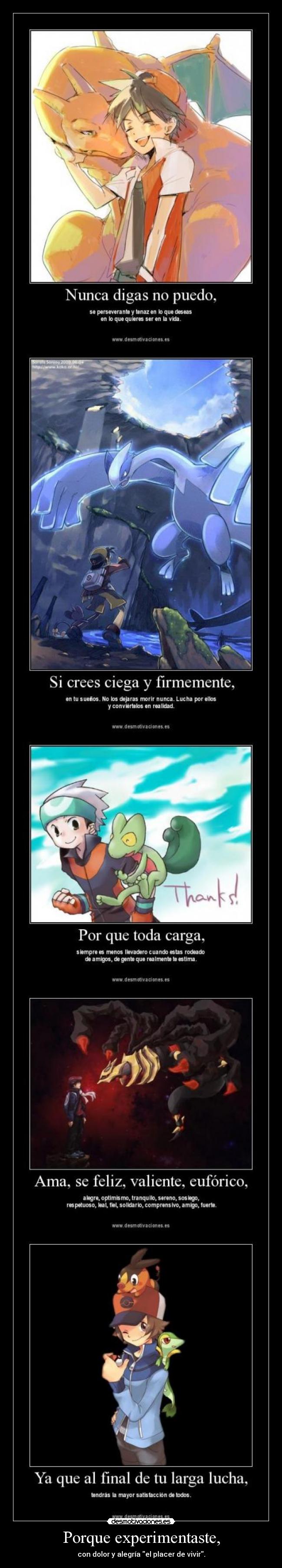 carteles generaciones entrenadores pokemon dan apoyo consejo red gold ruby diamond black desmotivaciones