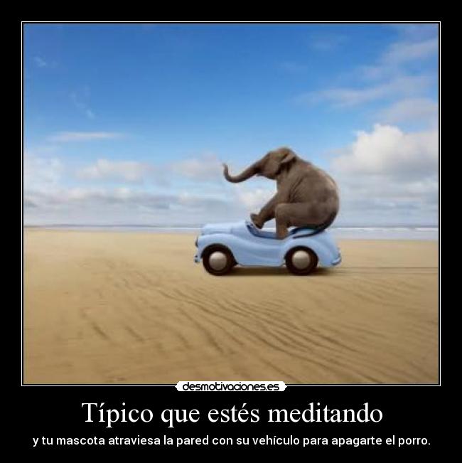 Típico que estés meditando - 