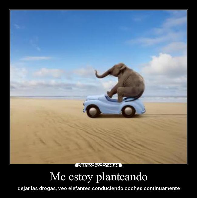 Me estoy planteando - 