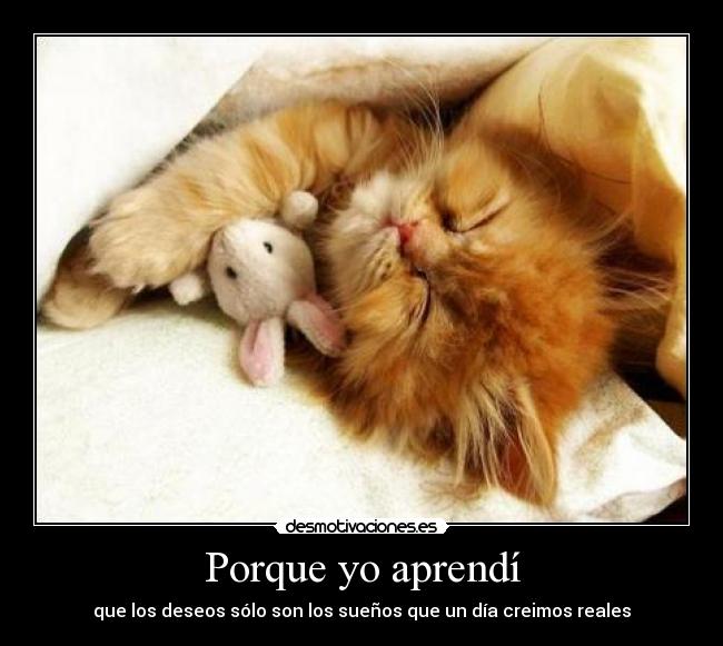 Porque yo aprendí - 