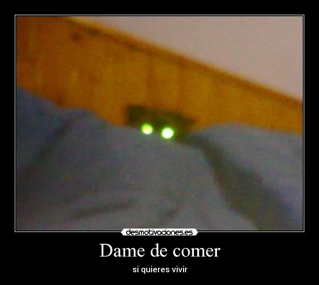 Dame de comer - 