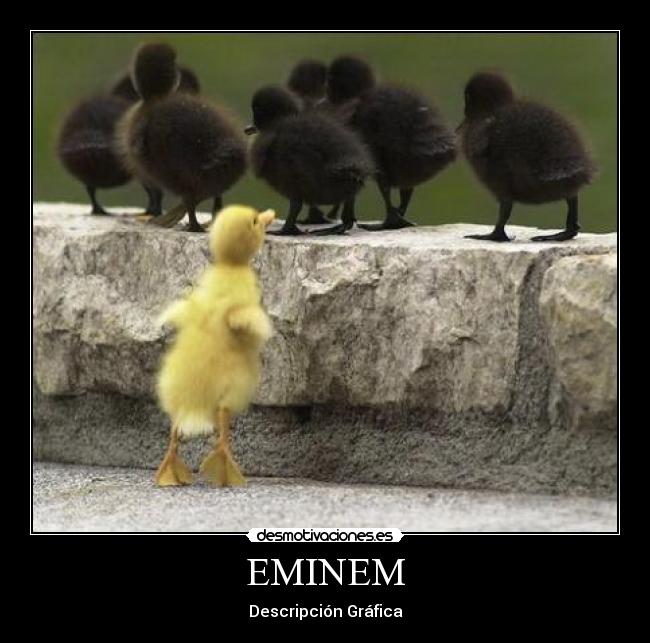 EMINEM -
