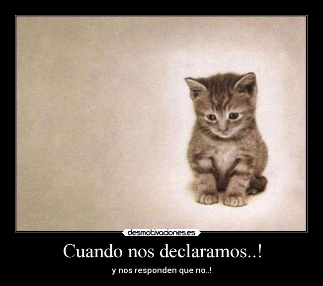 Cuando nos declaramos..! - 