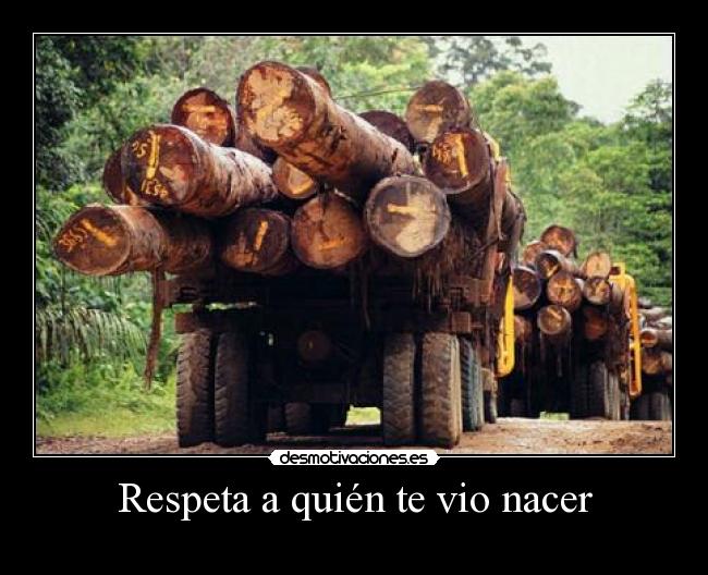 carteles madre naturaleza llora nuestro respeto implora desmotivaciones