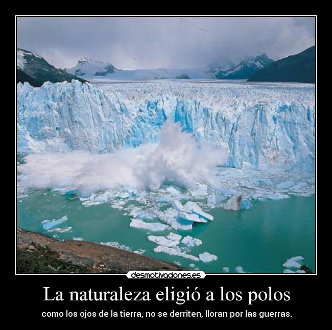 La naturaleza eligió a los polos - 