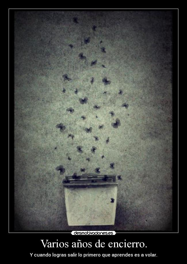 Varios años de encierro. - Y cuando logras salir lo primero que aprendes es a volar.