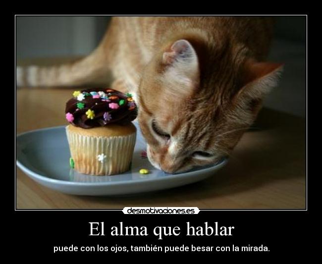 El alma que hablar - puede con los ojos, también puede besar con la mirada.