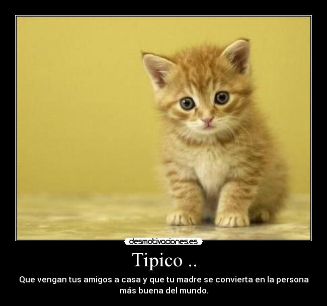 Tipico .. - Que vengan tus amigos a casa y que tu madre se convierta en la persona
más buena del mundo.
