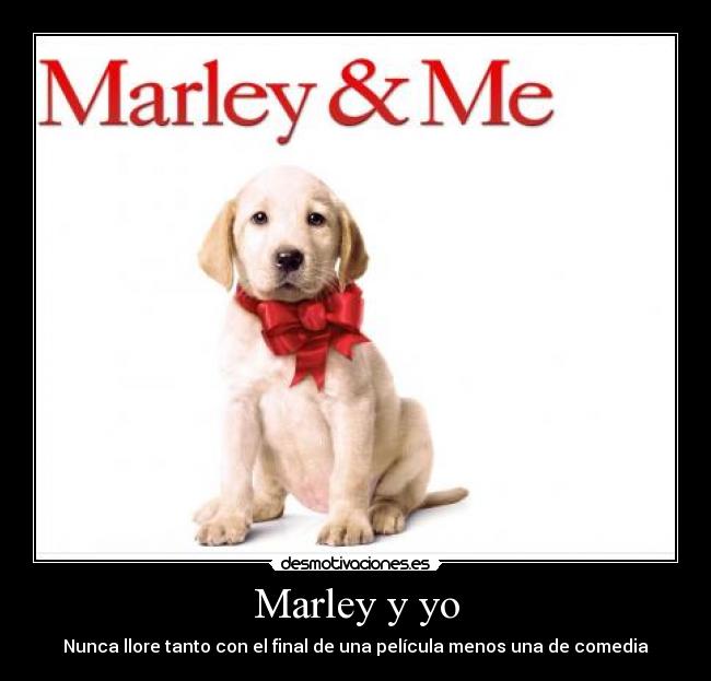 Marley y yo - Nunca llore tanto con el final de una película menos una de comedia
