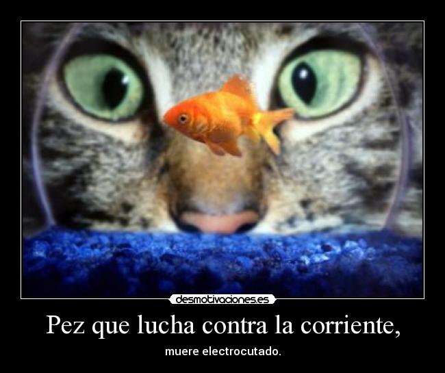 Pez que lucha contra la corriente, -