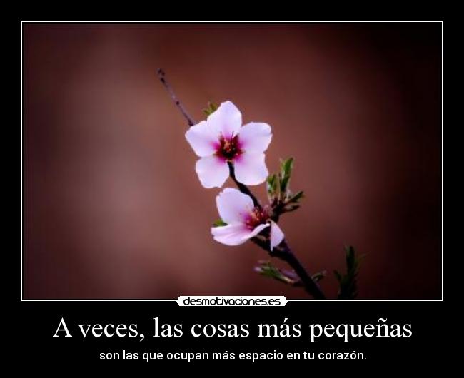 A veces, las cosas más pequeñas - 