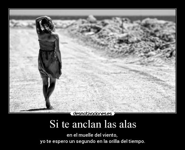 Si te anclan las alas -