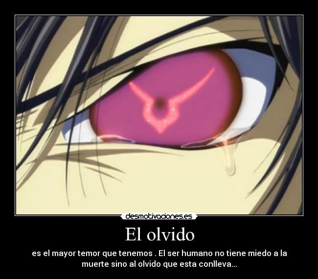 El olvido - 