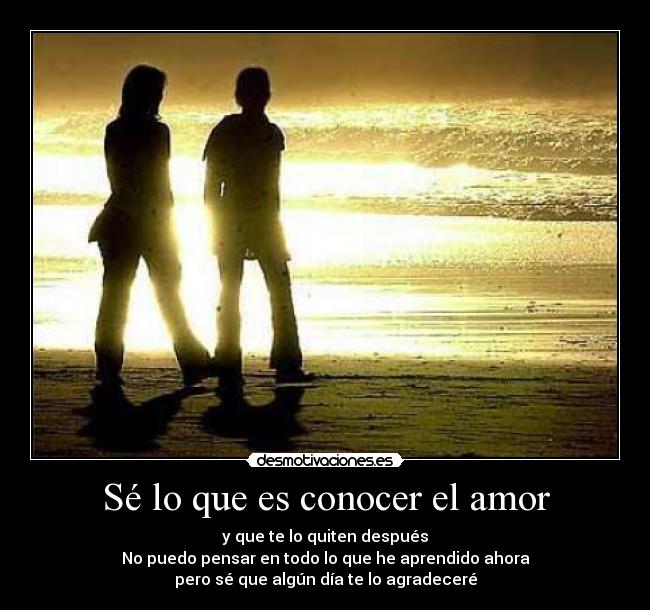 carteles amor the driveway desmotivaciones