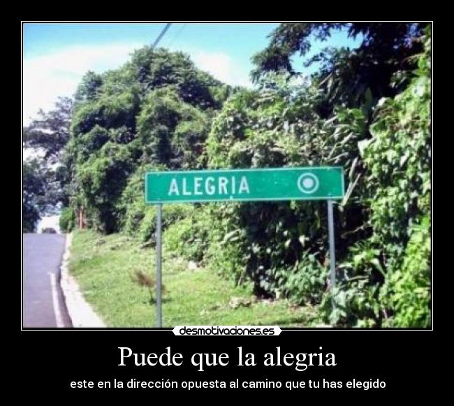 Puede que la alegria - 