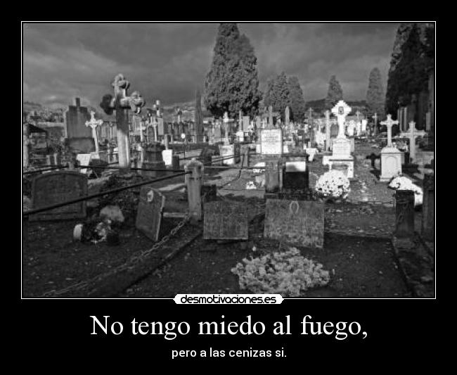 carteles miedo jlovej intruders solo temo muerte desmotivaciones