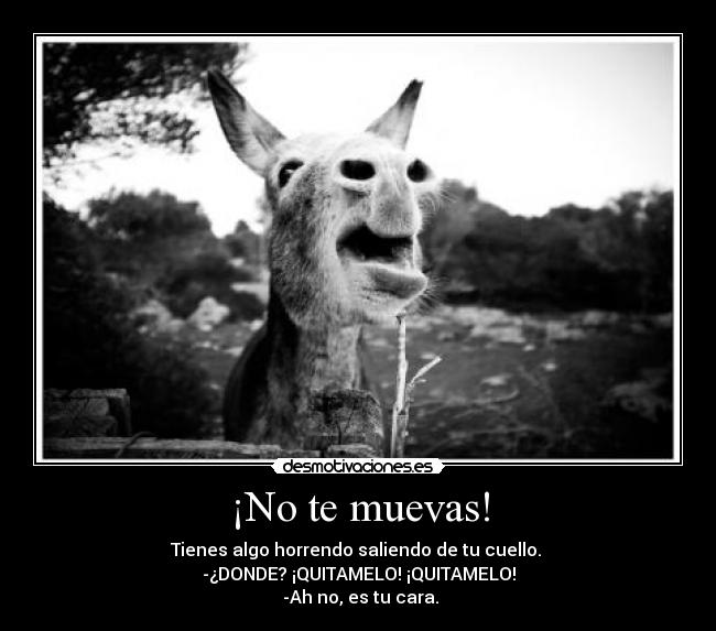 ¡No te muevas! -