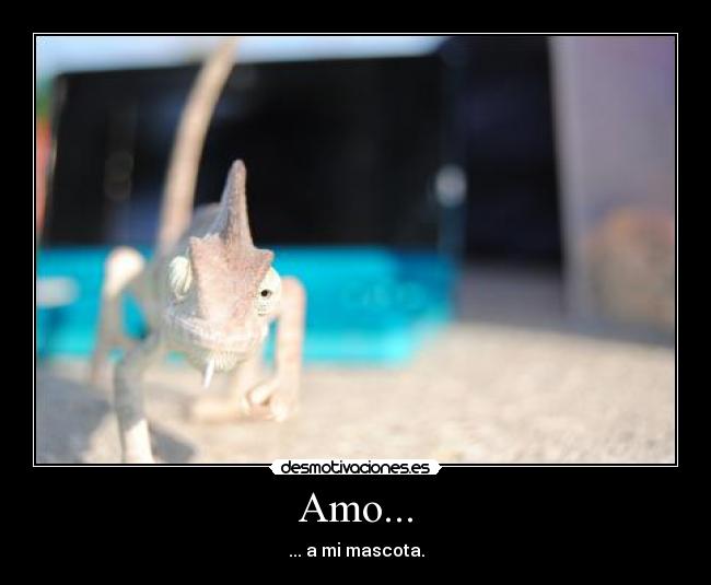 Amo... - 