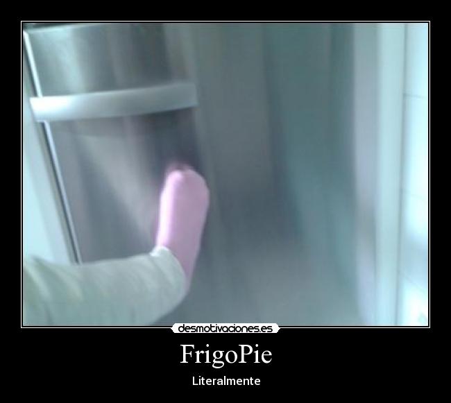 FrigoPie - 