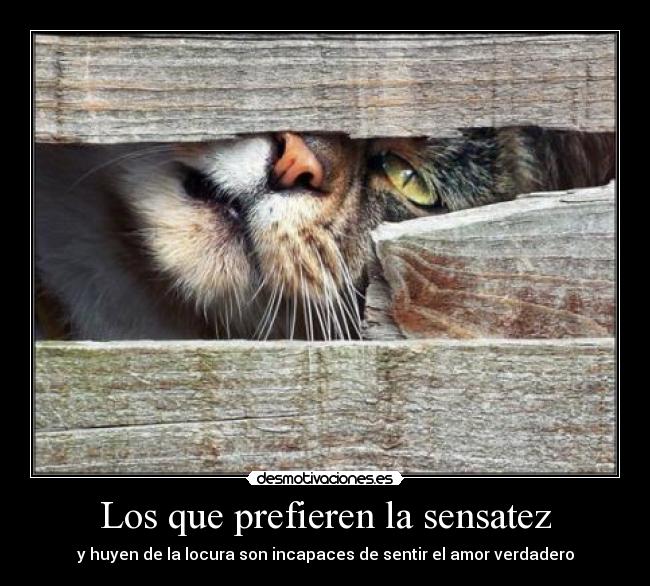 carteles wow crei pero verdad desmotivaciones