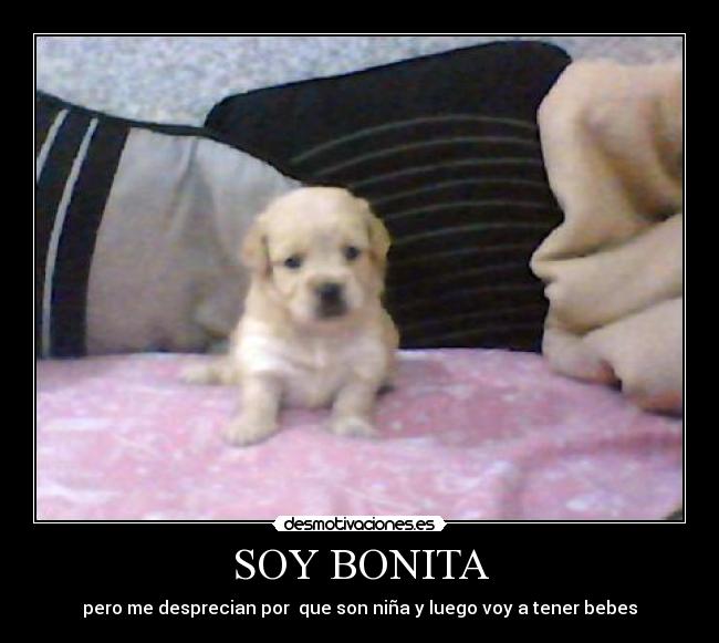 SOY BONITA - pero me desprecian por que son niña y luego voy a tener bebes