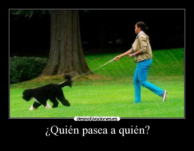 carteles fanyavril desmotivaciones