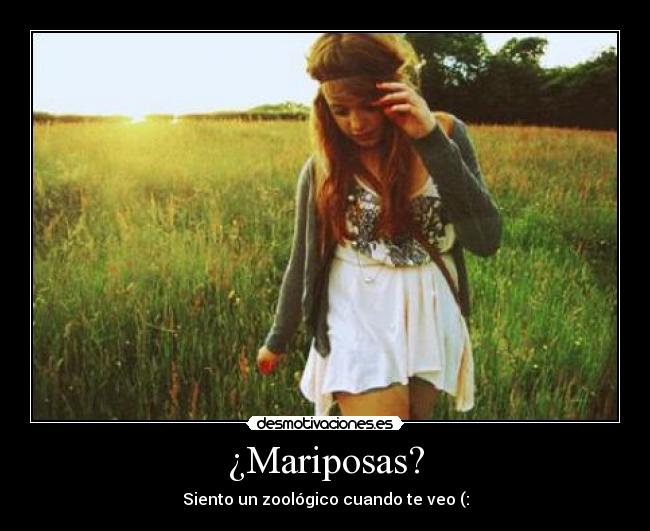 ¿Mariposas? - Siento un zoológico cuando te veo (: