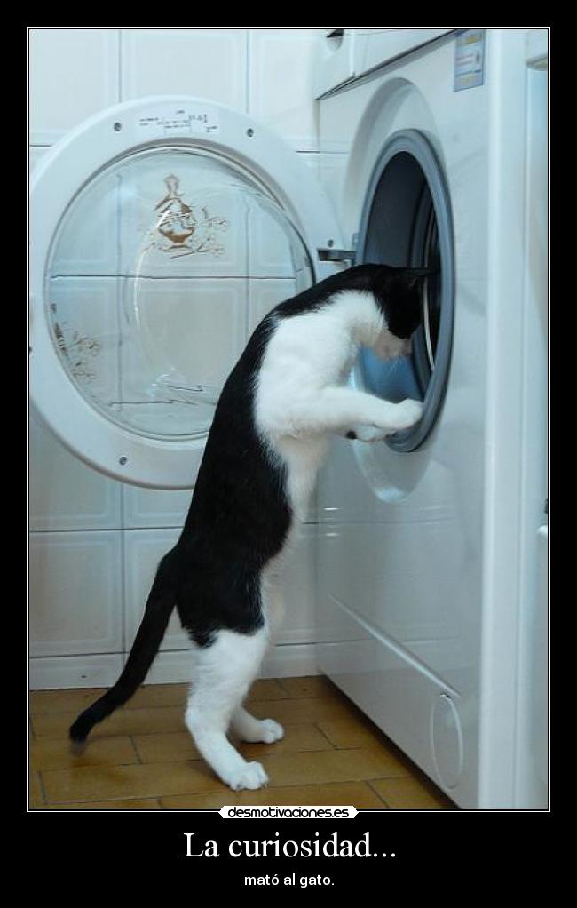 La curiosidad... - mató al gato.