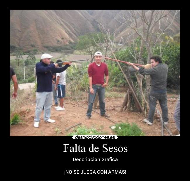 Falta de Sesos - Descripción Gráfica
¡NO SE JUEGA CON ARMAS!