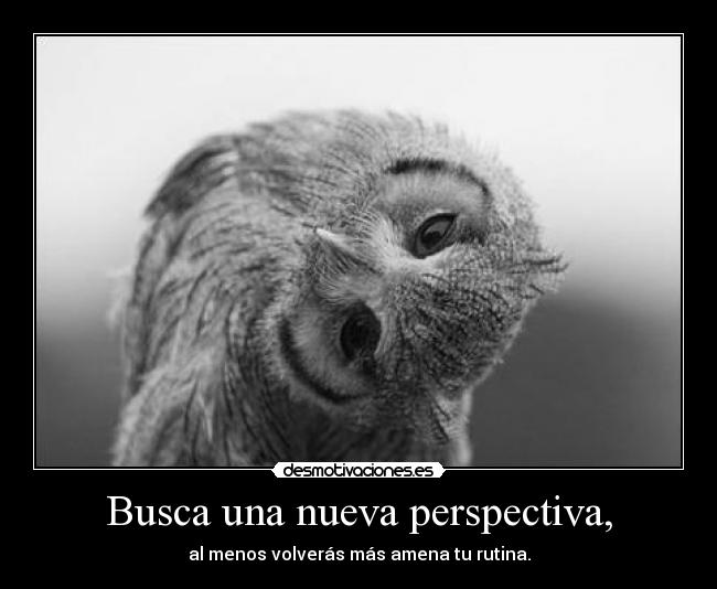 carteles chosen desmoconcurso2 busca una nueva perspectiva menos volveras mas amena rutina desmotivaciones