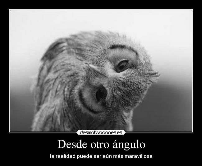 Desde otro ángulo - 