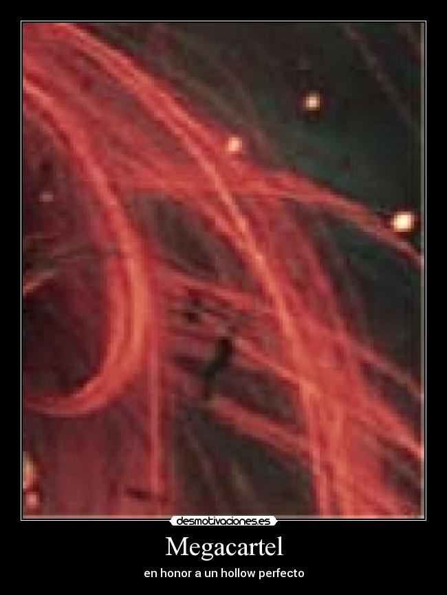 Megacartel - en honor a un hollow perfecto